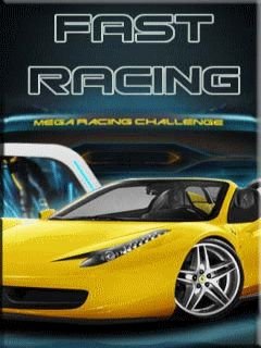 game pic for Fast racing